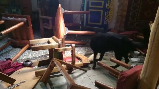 Леон!Обыск помещения в кафе по вв-имитатор. смотреть онлайн