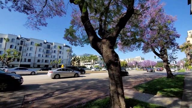 Прогулка по Beverly Hills, 4K. Wide angle. Samsung S10. смотреть онлайн