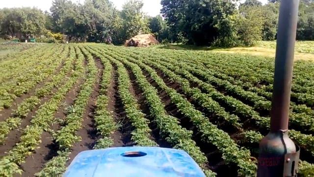 Прополка картофеля крн 1 5 на Дог Фенг 240 №2 смотреть онлайн