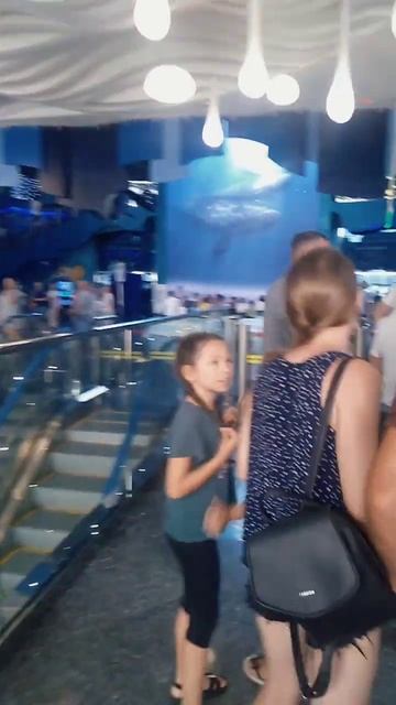 Владивосток #Океанариум#ждем в очереди, чтобы туда попасть смотреть онлайн