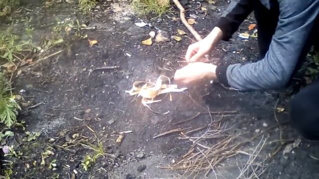 Костёр без бумаги в мокром лесу смотреть онлайн