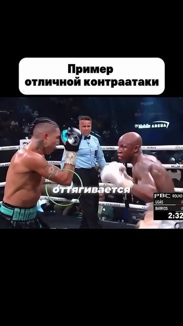 Пример отличной контраатки #мма #mma #попмма смотреть онлайн