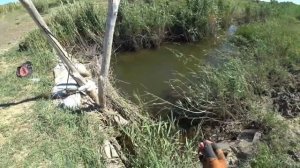 рыбалка с рогаткой Казахстан шок количество змейголовых#fishing #carpfish #2024