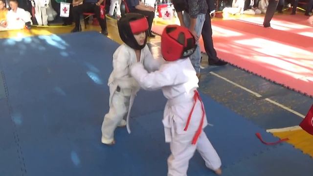 Басюк Никита -- Благодеров Вова -- откр. ЧО Баштанка 22.10.2016 год смотреть онлайн