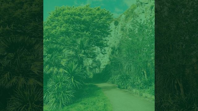 Чувство (Кафе) смотреть онлайн