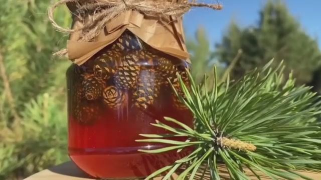Варенье из сосновых шишек. смотреть онлайн