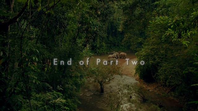 Неизведанный Индокитай / Wildest Indochina Серия Юго-запад Китая - Потайные сады смотреть онлайн