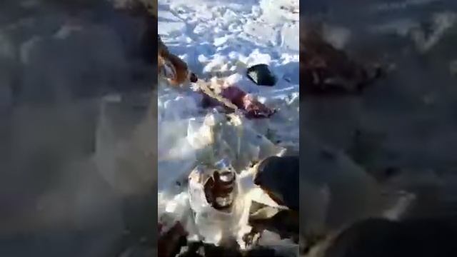 Бирлик смотреть онлайн