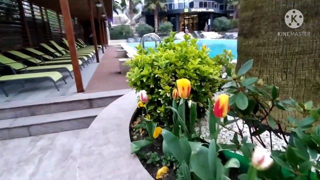 #Адлер🌹#Экодом_Адлер_Экодом_Фэмили🌹. #Белочка_с_ утра🤣. РАССКАЗЫВАЮ ГДЕ МЫ ЖИЛИ В АДЛЕРЕ🌴. смотреть онлайн