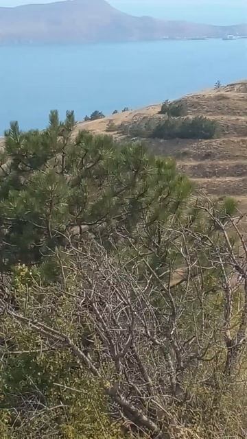 #Crimea #feodosia #море #природа #отдых #video #пляжи #новости #дикиеместа #russia #shorts смотреть онлайн