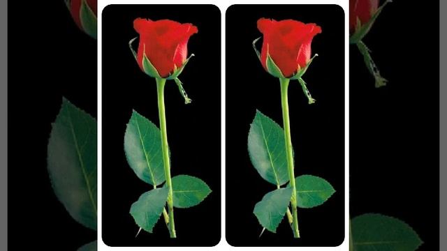 ГУЛДЕР смотреть онлайн