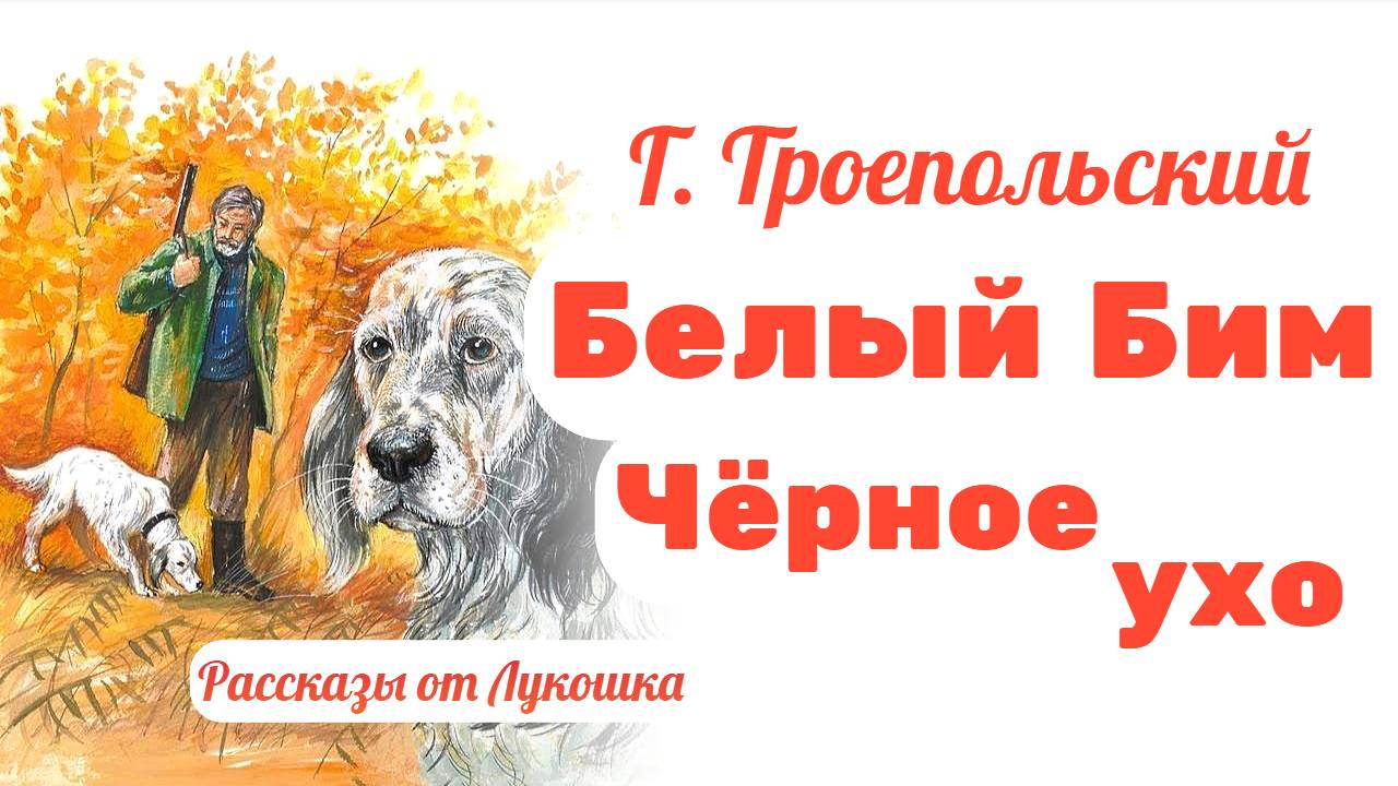 Белый Бим Чёрное Ухо, Трогательный рассказ Гавриила Троепольского • Интересная история про собаку смотреть онлайн
