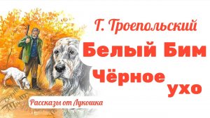 Белый Бим Чёрное Ухо, Трогательный рассказ Гавриила Троепольского • Интересная история про собаку