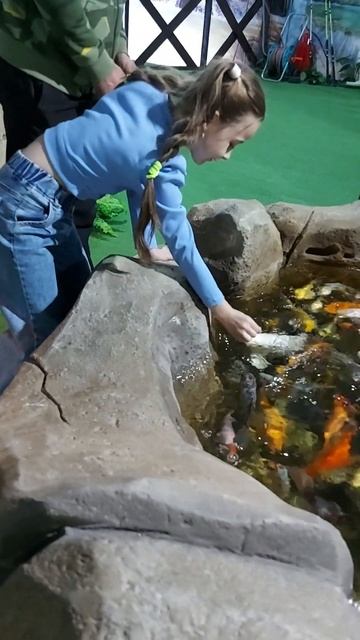 Крокодиловая ферма в Лазаревском. #лазаревское #сочи #рыбки #релакс #отпуск #дети #море #аквариум смотреть онлайн