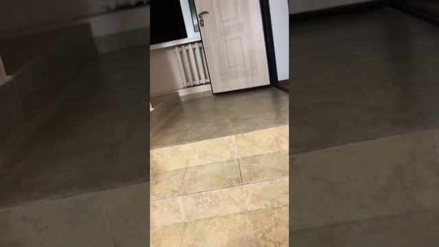 Гостевой дом «Марина» смотреть онлайн