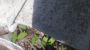 VID_20250423_102132.mp4