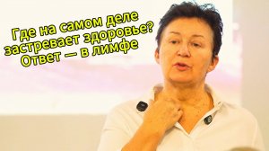 Почему кашель лечится через живот? Лимфа, кишечник и мозг