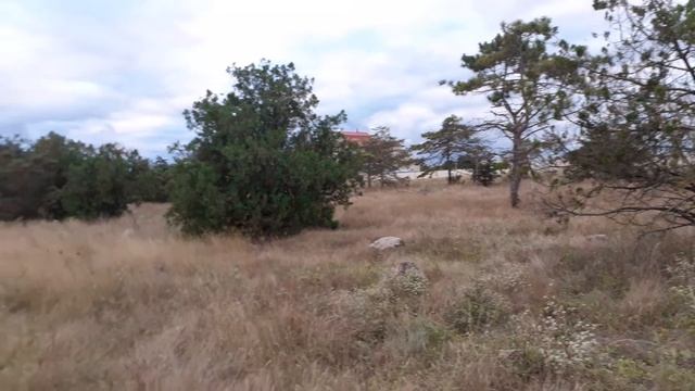 21 сентября. Погода в Крыму. смотреть онлайн