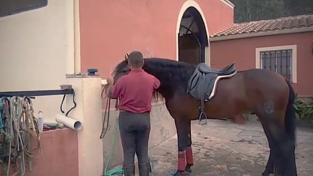 Силы творения spanishhorse ru смотреть онлайн