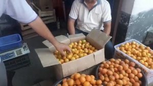 ДЕХКОН БОЗОРИ  МАРГИЛОН