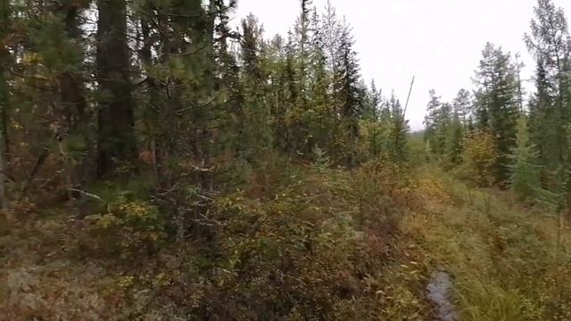 Осенний Туруханск смотреть онлайн