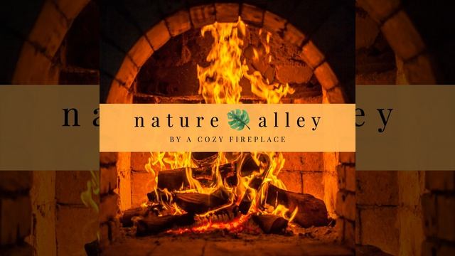 Звуки Костра И Огня Для Отдыха (Loopable) смотреть онлайн