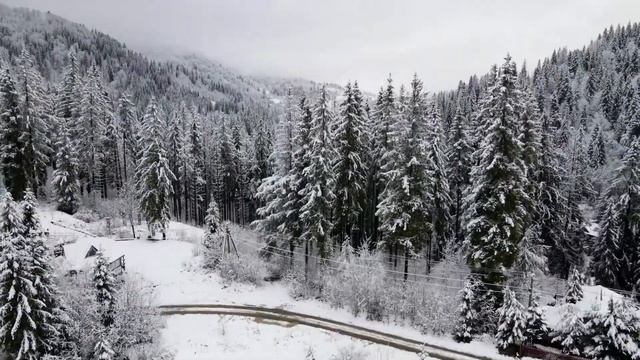 Захар Беркут (с.Волосянка) смотреть онлайн