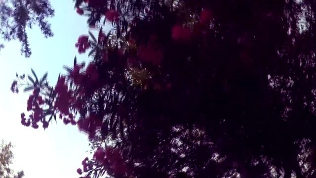 VLOG // ТУРЦИЯ // Avantgarde Hotel & Resort смотреть онлайн