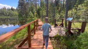 Валдай и его экотропы | Как и где отдохнуть в Валдае | Лето 2024