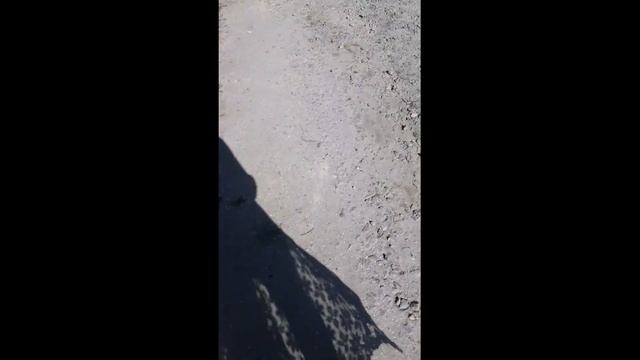 Кирилівка 07 2018 Житло по вул Калініна, 206 смотреть онлайн