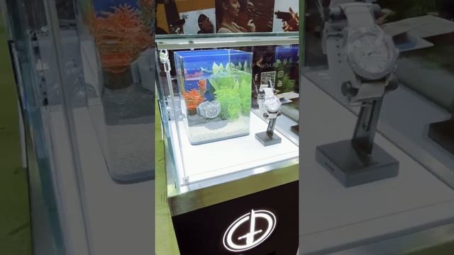 выставка охота и рыболовство на руси 2021 г. смотреть онлайн