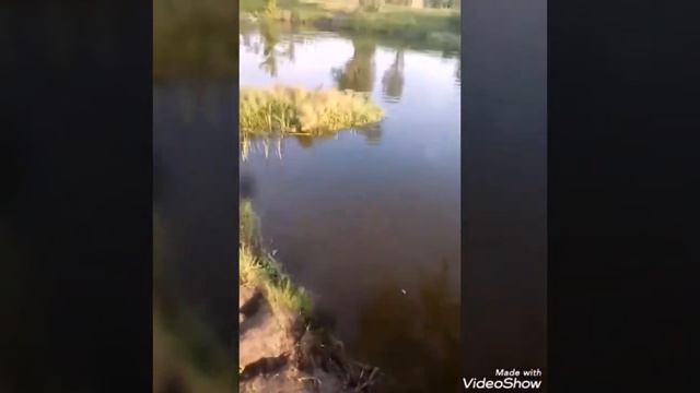 #отлых #речка #друзья смотреть онлайн