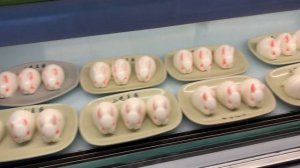 ПЕРЕСАДКА в КИТАЕ - инструкция КАК ВЫЙТИ в ГОРОД из аэропорта PVG