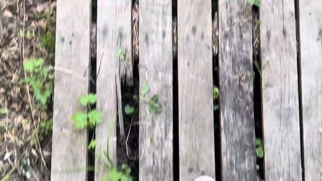 уехали в поле, купались в чане | влог из суздали смотреть онлайн