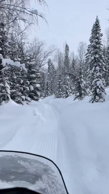 Лужба зимой. Отдых в Юртах «снегири» 🔥🏔️ Все дело в каше 🥣 #лужба #горы #снегоход смотреть онлайн