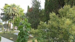 Обзор отеля «Страна души», Абхазия