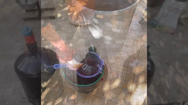 Виноделие 2 серия смотреть онлайн