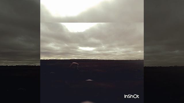 Сасыколи Сальтухи 2 смотреть онлайн