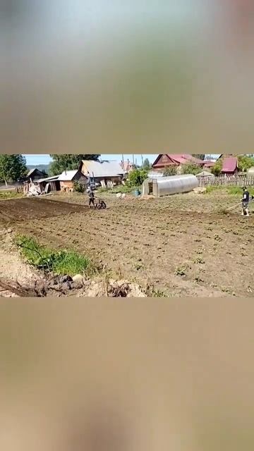 Работа мото тяпкой и окучивание картошки мотоблоком. смотреть онлайн
