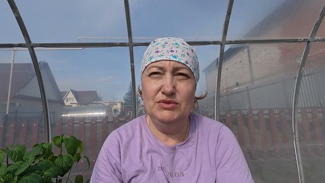 Цыпы - дрыпы Кошкины слезы, я рискнула смотреть онлайн