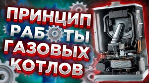 НЕ ПРОСТО Принцип работы котлов?Принцип работы газовых котлов?Устройство работы котла? #работакотла