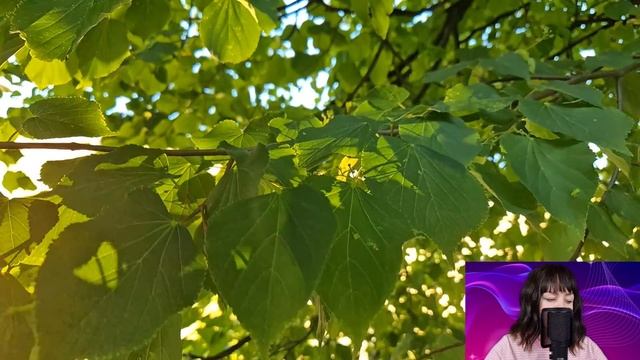 Вдова уговорила свёкра переехать в деревню, чтобы не мешал ей выйти замуж. Но спустя три года... смотреть онлайн