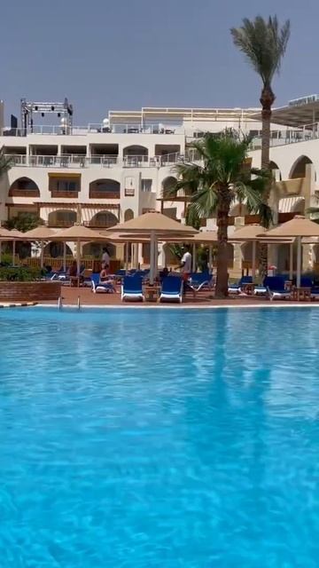 Egypt. Albatros Royal Grand. Sharm el Sheikh. Египет. Шарм эль Шейх. May 2022 смотреть онлайн