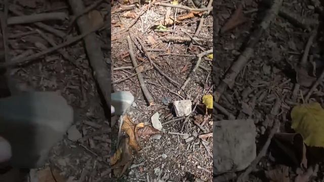 ПОДНИМАЕМСЯ ПО ТРОПЕ ЗДОРОВЬЯ смотреть онлайн