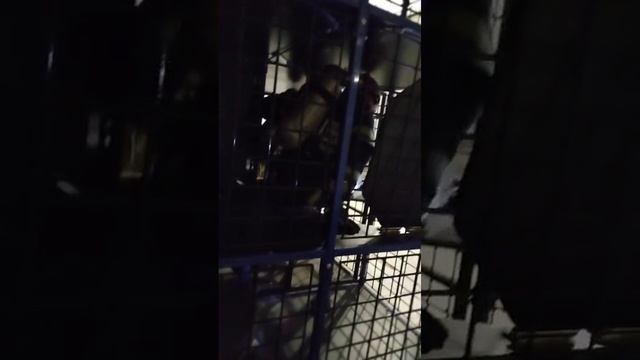 Video_2025-04-24_13-13-11