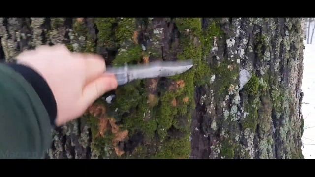 3 лайфхака для выживания в лесу смотреть онлайн