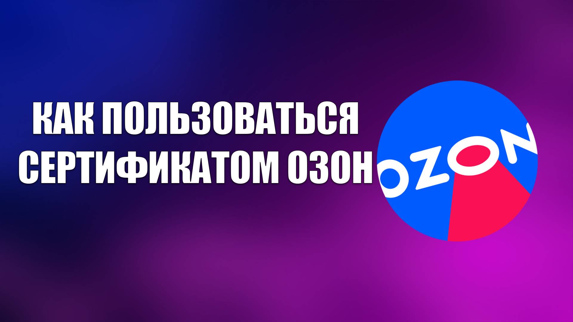 Всезнающий Енот