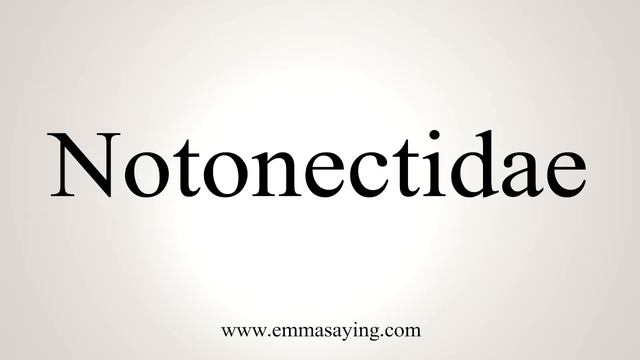 How To Say Notonectidae смотреть онлайн