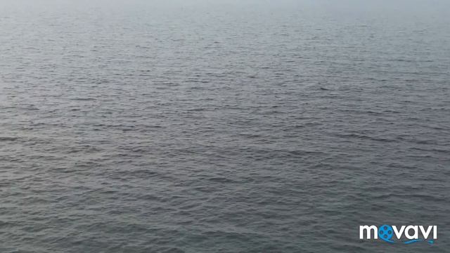 Моя первая весна в #Анапе. смотреть онлайн