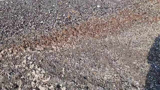 Алания август 2021 campus hotel смотреть онлайн